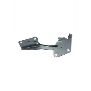 Renault Fluence 2009- Motor Kaput Mentesesi Sağ 654000016R Nextpart