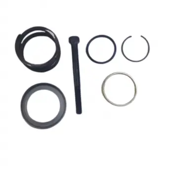 Volkswagen 04 Ve Sonrası Uyumlu Aks Mil Frezesi Yay Ve Konik Sarı Halka Seti 0A5409379 Wisco