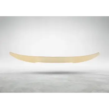 Bagaj Spoyleri X4:G02