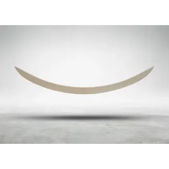 Bagaj Spoyleri Z4:E89 -///M-Performance-