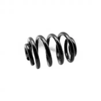 BMW F20 Helezon Yayı Ön 31336851714 Wender