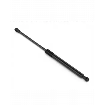 BMW Kaput Amortisörü I01