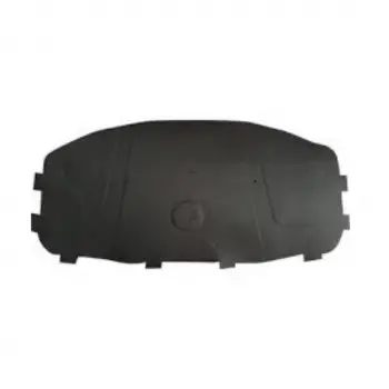 BMW Kaput Süngeri E46