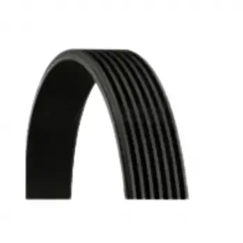 BMW M60 E34 E38 Kayış Devirdaim 11281702898 ContiTec