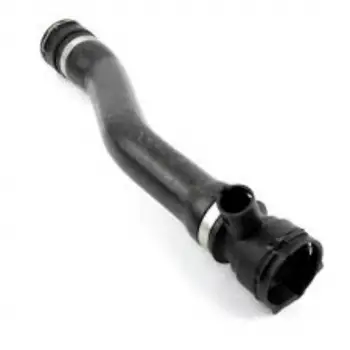 BMW Radyatör Hortumu E46 [N42 N46] Alt; Sağ 2002-05