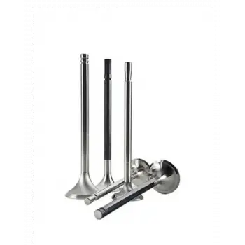 BMW M10 E30 Supap Emme GUNES 11341251879