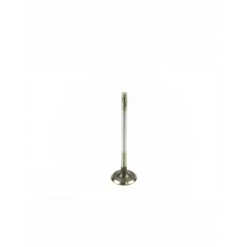 BMW Supap M50 M52 M54 Emme [E34 E36 E39 E46 E60] 320/520i