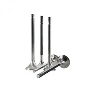 BMW E34 E36 M51 Supap 11342243328 TRW