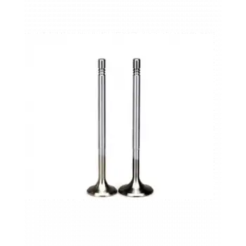 BMW Supap S50 Egzoz [E36] -///M3-