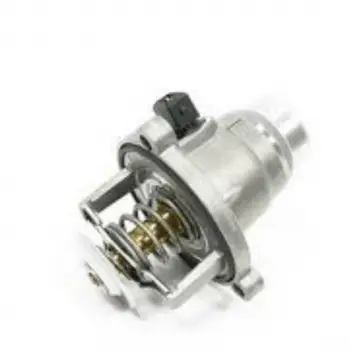 BMW Termostat N62 [E60 E65 X5:E53 X5:E70 X6:E71] 105C