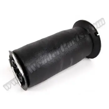 Hava Süspansiyon Körüğü E61 Arka