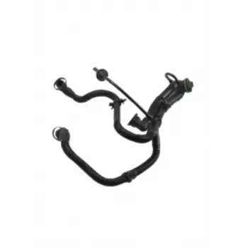 Audı A4 A6 2.4 3.2 Fsı Uyumlu Hava Tahliye Hortumu 06E103217M Wisco