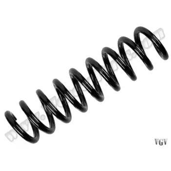 Helezon Yayı F30 Arka