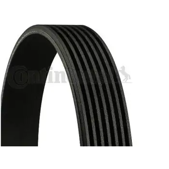 Kayış CNT_7PK1855 Contitec