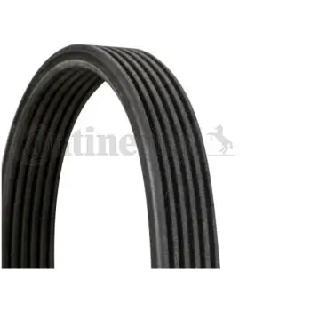 Kayış M47 N47 N57 [E60 E87 E90 E92 X3:E83 X1:E84]