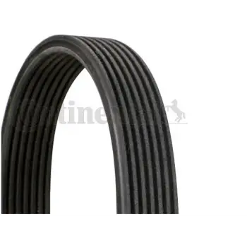 Kayış N57 [X5:E70 X6:E71 F10 F07 F01]