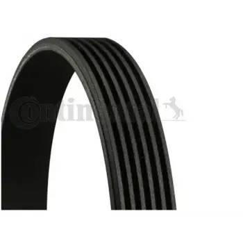 Kayış OM601 OM602 [W201 W124 W210 T1:210D>410D Spr901>904 Vito638]