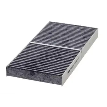 Klima Filtresi R171 R172 Karbonlu