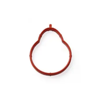 Manifold Contası M43 [E46] Emme