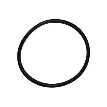 Manifold Contası OM651 [W204 W205 W212 W222 W176 W246 C117 X156 W166 Spr906 Vito447] O-Ring