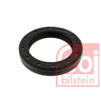 Man.Şanz Keçesi 29.8x42x7 [Vito638]