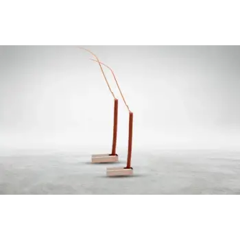 Marş Kömürü Evrensel