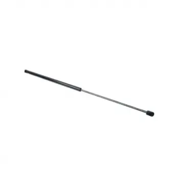 Mercedes Kaput Amortisörü W220