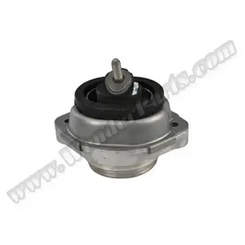 Motor Kulağı X5:E53 [M54]