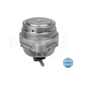 Motor Kulağı X5:E53 [M57/N]