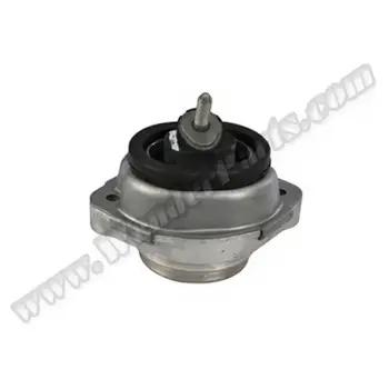Motor Kulağı X5:E53 [M62 N62]