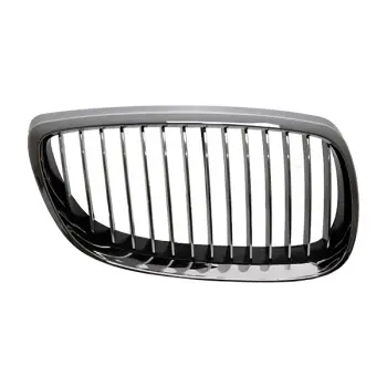 Panjur E92 Sağ, Krom 2006-09