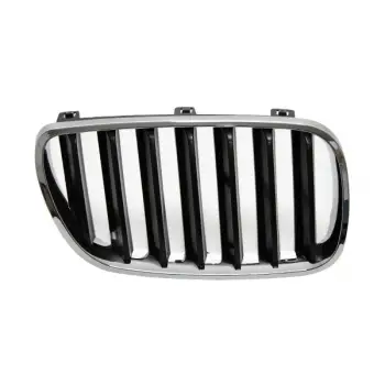 Panjur X3:E83-LCI Sağ, Krom-Gri 2007-10