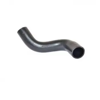 Chevrolet Aveo 1.21.4 Uyumlu Radyatör Hortum Alt38109 Rapro