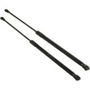 Seat Ibıza 12 > Sonrası Uyumlu   Bagaj Amortısoru 290n 1193632-00Wısco