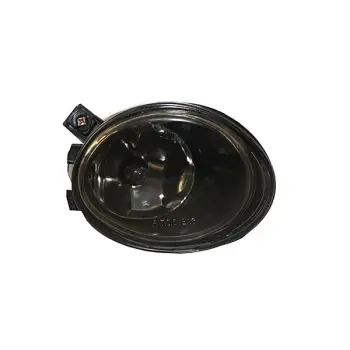 Sis Farı E39 E46 Sağ; Füme Düz Cam -///M3 ///M5- 2001-06