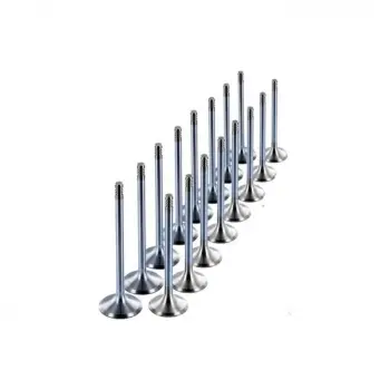 Opel Astra G Z16 16v Uyumlu Subap 5mm 8 Li Set 291107 Winpower