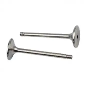AUDI VW Bora/ Caddy/ Golf 3-4-5/ Jetta 4/ Passat B3-B4/ Touaran/ Subap Valfi Egzost 33x7x91 2mm 4LU Set 048109611B Wisco