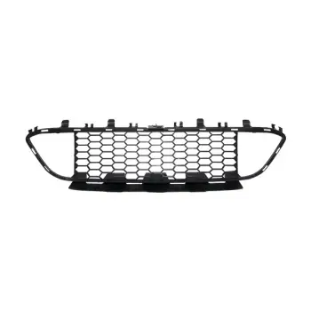 Tampon Izgarası F30+LCI Ön Orta -M-Tech- 2012-18