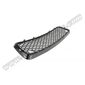 Tampon Izgarası X5:E70 Ön Alt Orta; Siyah 2007-09