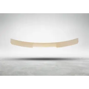 Tavan Spoyleri G20 -///M-