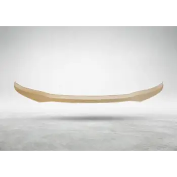 Tavan Spoyleri X3:G01