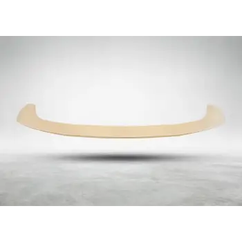 Tavan Spoyleri X4:G02