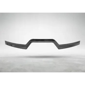 Tavan Spoyleri X6:G06