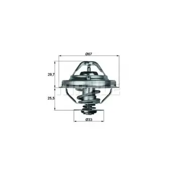 Termostat M51 [E34 E36 E39 E39] 80C