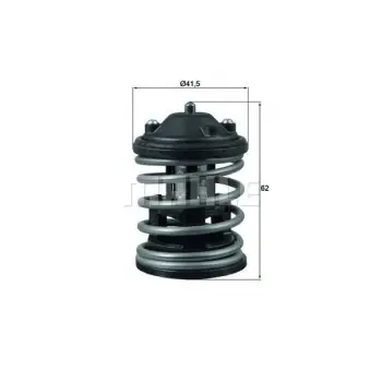 Termostat N47 N57 [E60 E87 E90 X3:E83 X5:E70 X6:E71 F10 F01] 87C