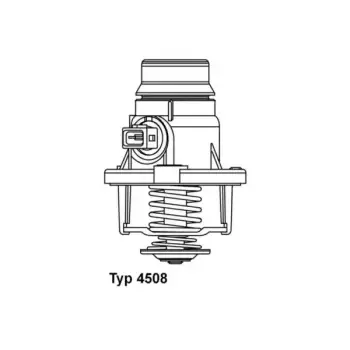 Termostat N62 [E60 E65 X5:E53 X5:E70 X6:E71] 105C