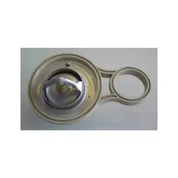 Termostat W10 W11 [Mini-R50>R53] 91C