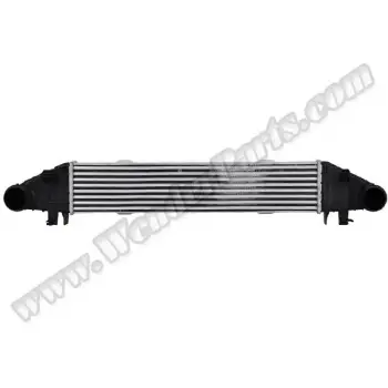 Turbo İnterkol Radyatörü W204 W212 [M271-CGI]