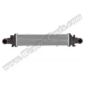 Turbo İnterkol Radyatörü W204 W212 X204 [OM651 OM642]