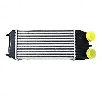 urbo Radyatörü Mt 300X157X80 Mm –0384.J4 Wisco – Citroen C2 C3 Peugeot1007 05 Ve Sonrası Uyumlu 